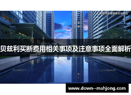贝兹利买断费用相关事项及注意事项全面解析