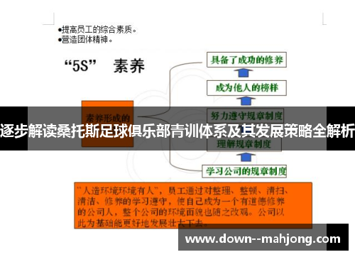 逐步解读桑托斯足球俱乐部青训体系及其发展策略全解析 逐步解读桑托斯足球俱乐部青训体系及其发展策略全解析