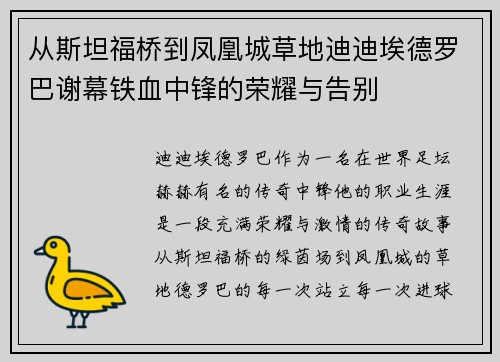 从斯坦福桥到凤凰城草地迪迪埃德罗巴谢幕铁血中锋的荣耀与告别 从斯坦福桥到凤凰城草地迪迪埃德罗巴谢幕铁血中锋的荣耀与告别